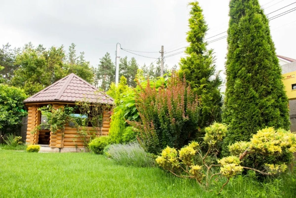 https://sergiev-posad.tgv-stroy.ru/storage/app/uploads/public/637/ef4/fb3/637ef4fb3605f391429275.png